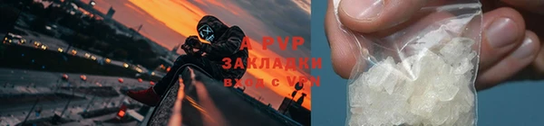 тгк Беломорск