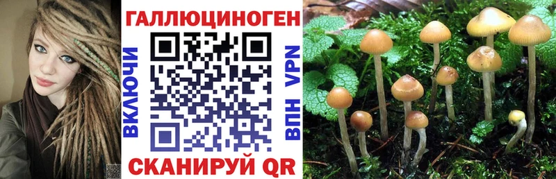 Галлюциногенные грибы мицелий  Покровск 